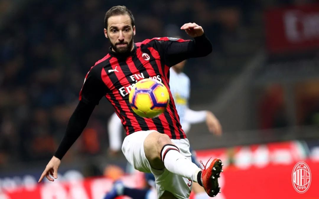 包含荷兰击剑队斩获金牌,期待更多胜利的词条 包含荷兰击剑队斩获金牌,期待更多胜利的词条